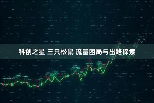科创之星 三只松鼠 流量困局与出路探索