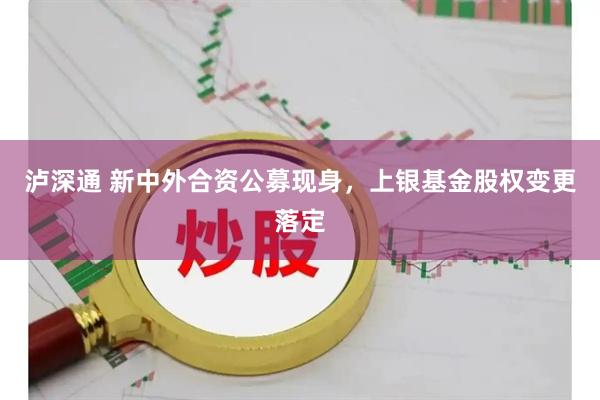泸深通 新中外合资公募现身，上银基金股权变更落定